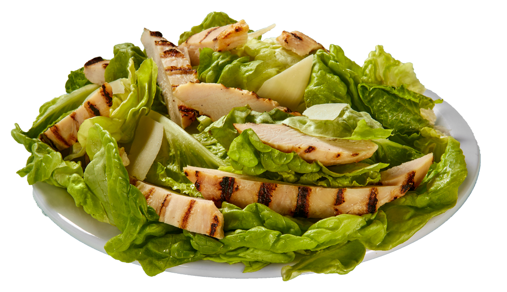 Grilled Chicken Breast Strips on Green Salad